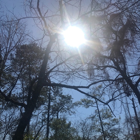 Meet your Posher, Victoria - Picture 1 of 1